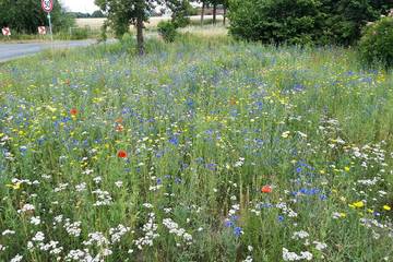 Ferienwohnung für 4 Personen in Lüdinghausen