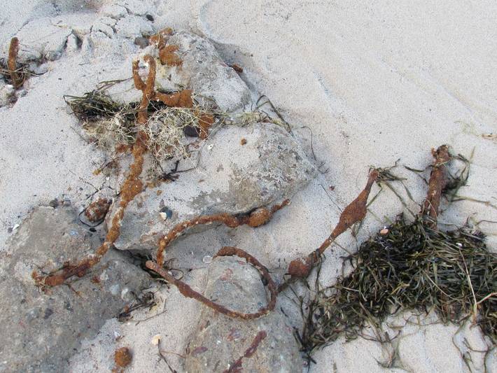 Ferienwohnung für 3 Personen, mit Garten in Ahlbeck - 3