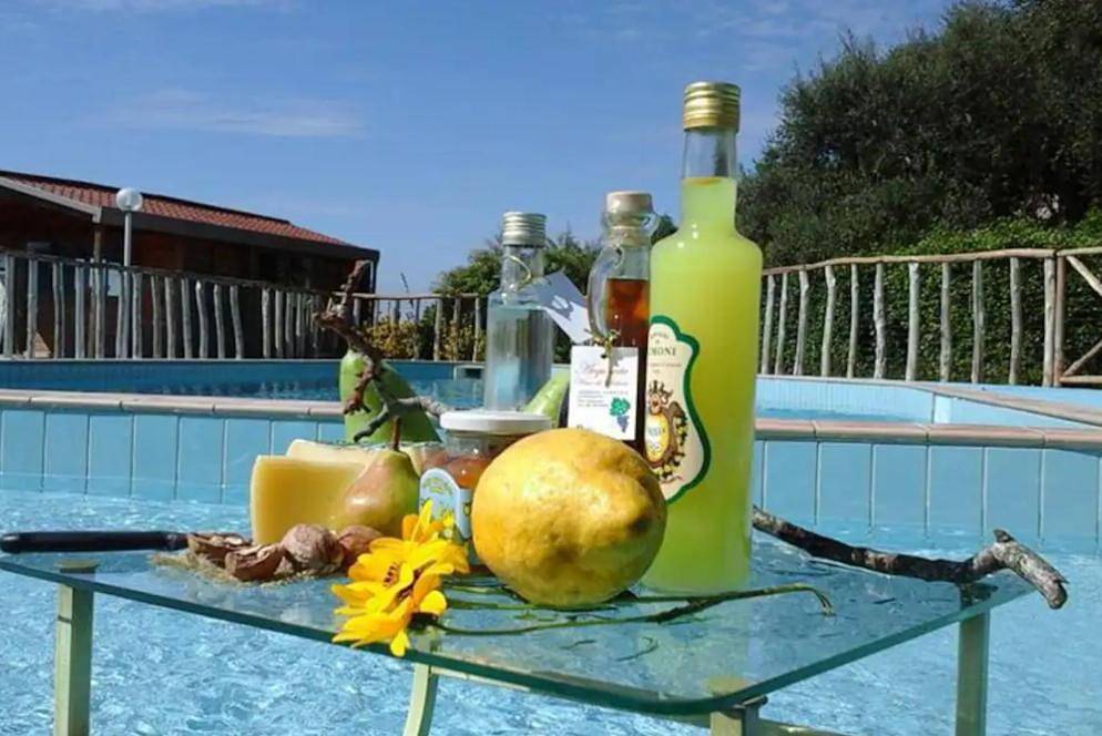 Agriturismo Castanito in Vico Equense, Napoli e dintorni