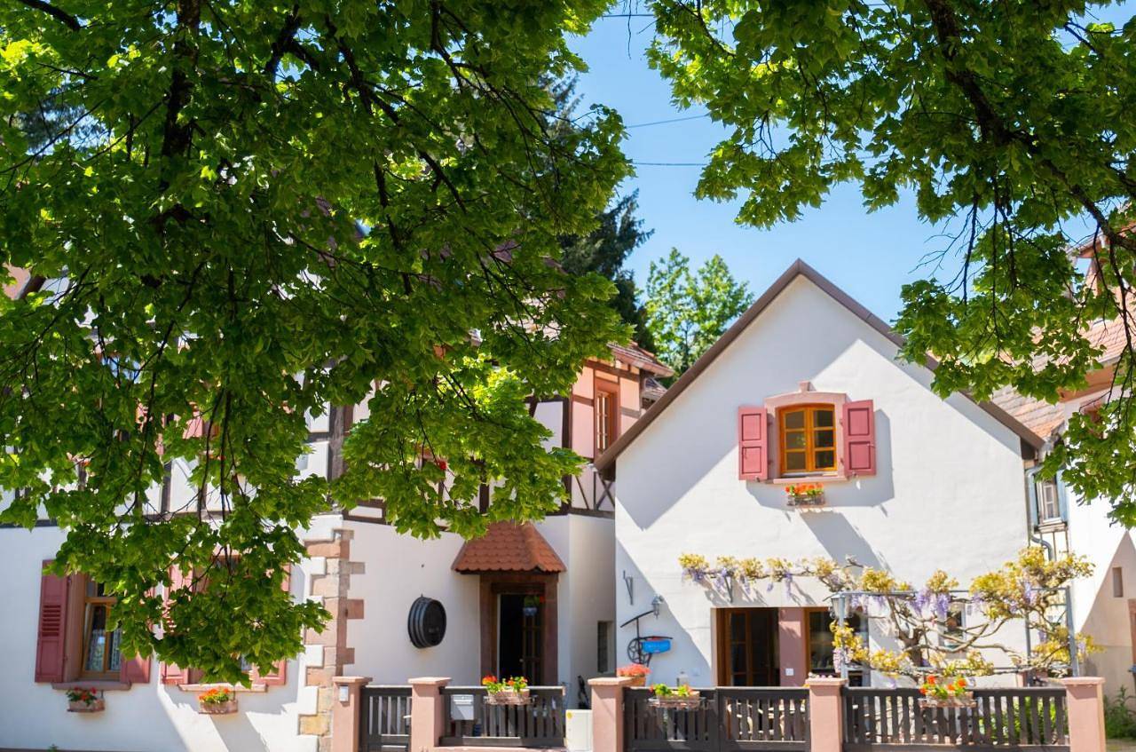 One-Bedroom House in Weißenburg, Région de Wissembourg