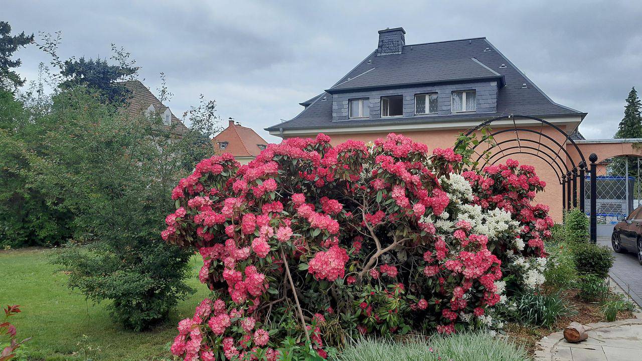 Ganze Ferienwohnung, Ferienwohnung für 4 Personen (35 m²) in Werdau in Werdau, Chemnitz und Umgebung
