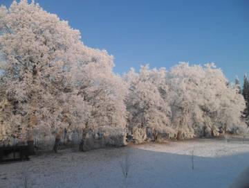 Ferienwohnung für 4 Personen in Worpswede, Niedersachsen, Bild 4