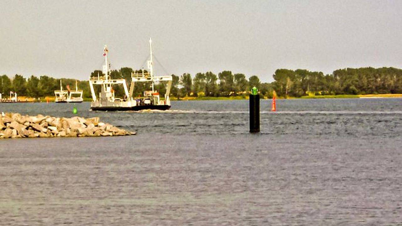 Ferienhaus für 3 Personen (38 m²) in Stahlbrode in Sundhagen, Stralsund Umland