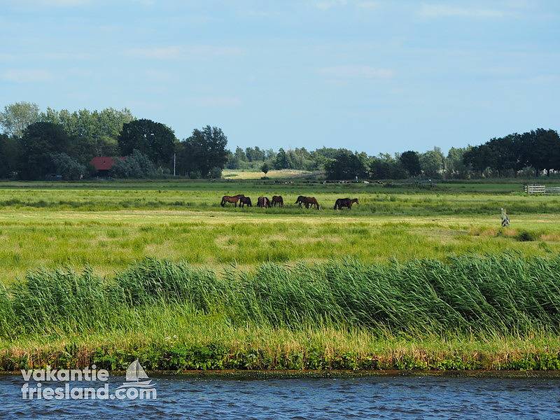 Vakantiefriesland — Ferienhaus Grou mit Balkon mit Blick auf den Kanal in Nationalpark De Alde Feanen
