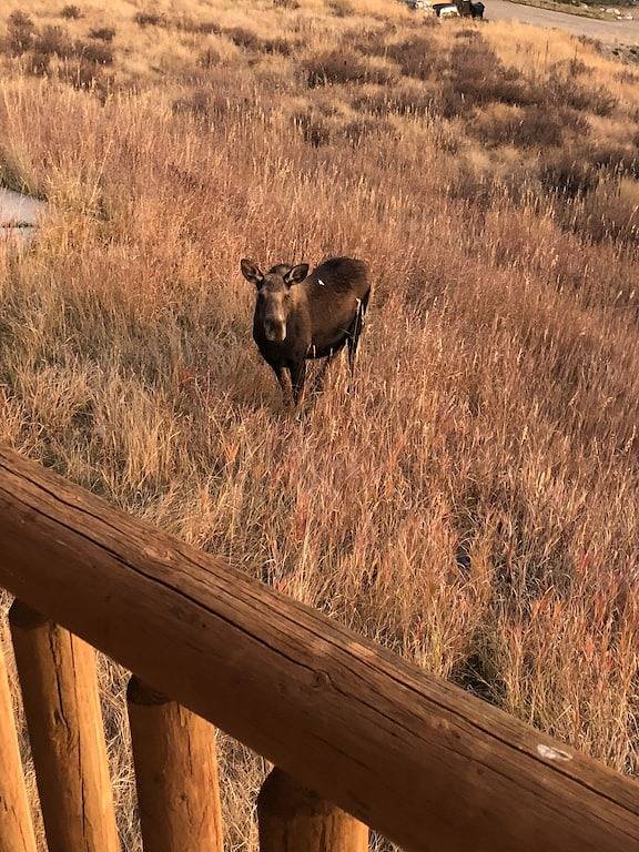 Geräumiges Georgetown Lake Log Home in Anaconda-Deer Lodge County, Discovery Ski Area