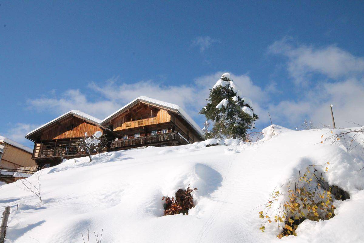 Ganze Ferienwohnung, Untererschbaumerhof in Untertilliach, Osttirol