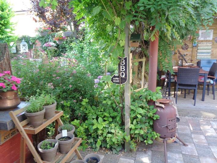 B&b voor 3 personen, met tuin in Hardenberg