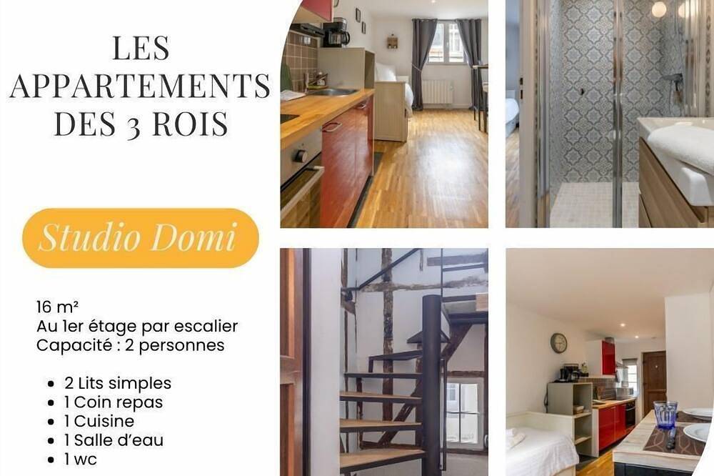 Entire apartment, The 3 kings: Studio Domi, Beauval and Châteaux in Romorantin-Lanthenay, Sologne