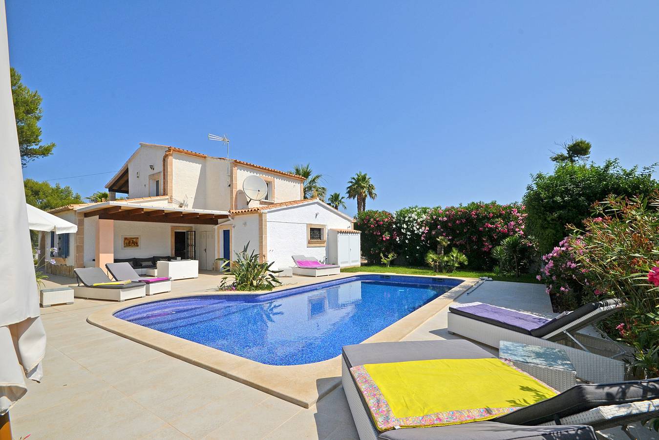 Odette in Bonaire, Alcúdia