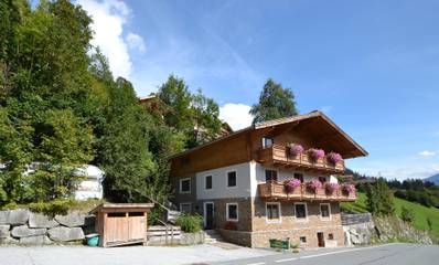 Ferienwohnung für 8 Personen, mit Balkon in Wald im Pinzgau