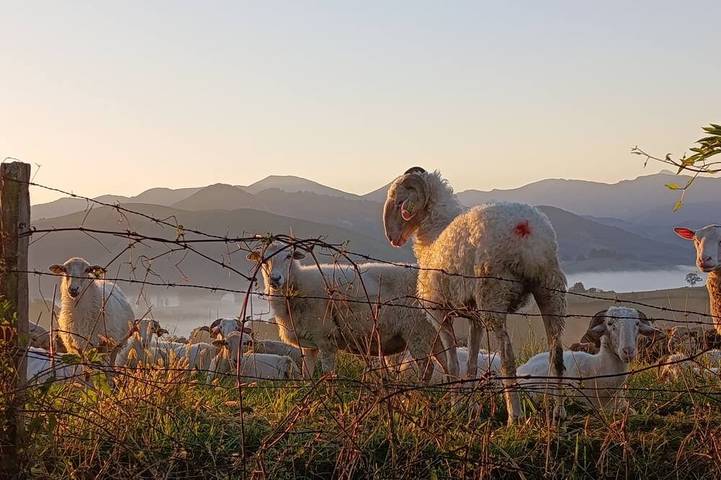 Maison de vacances pour 6 personnes