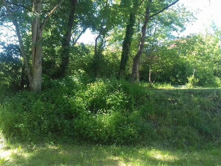 Ferienwohnung für 3 Personen, mit Garten und Terrasse in Heiligenstadt - 4