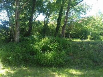 Ferienwohnung für 3 Personen in Heiligenstadt, Fränkische Schweiz, Bild 3