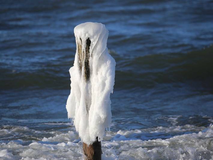 Ferienwohnung für 4 Personen, mit Terrasse und Garten in Prerow - 2