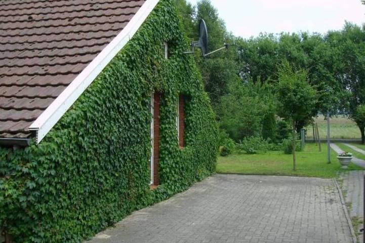 Ferienhaus für 4 Personen, mit Garten und Terrasse in Weener - 2