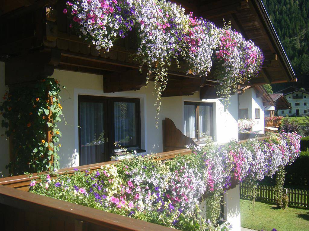 Appartement, douche, Wc, balkon in Neustift, Neustift im Stubaital