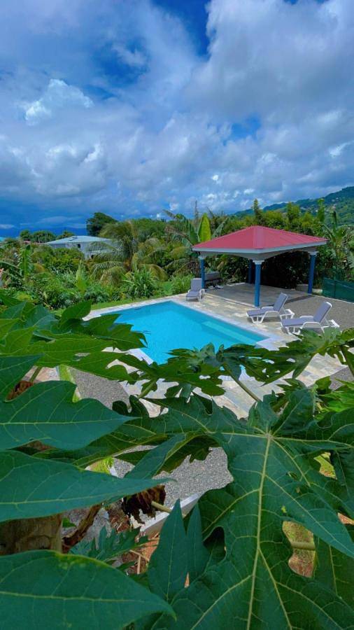 Appartement de vacances pour 3 personnes, avec jardin ainsi que piscine et vue - 1