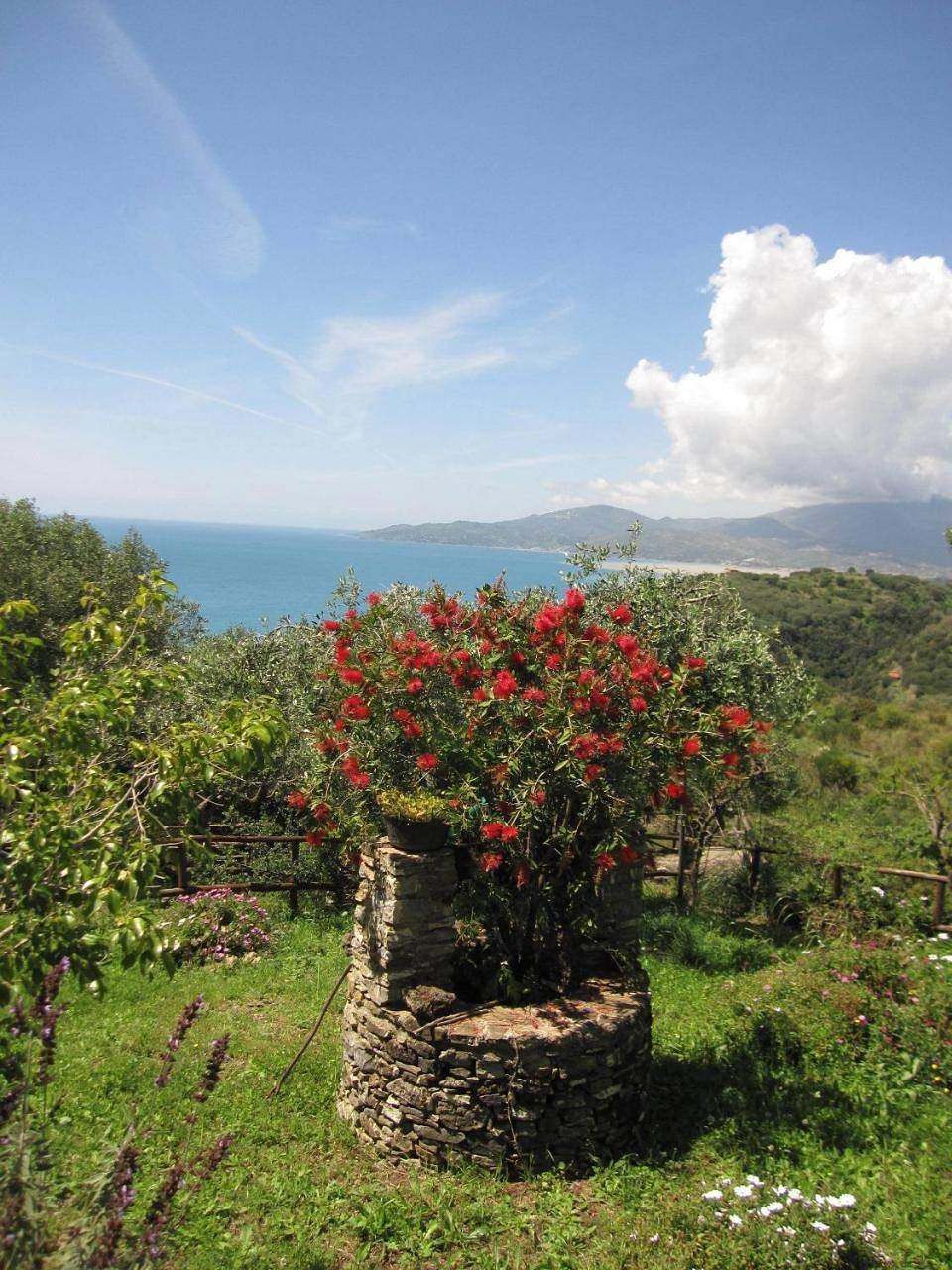 Agriturismo La Casa Vecchia in Cilento Coast