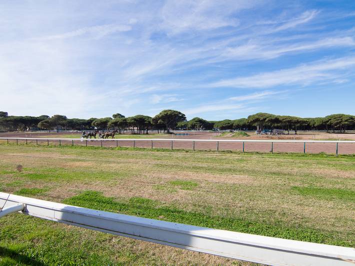 Ferienhaus für 4 Personen, mit Terrasse und Garten in Giens - 4