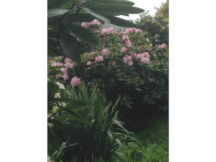 Ferienhaus für 2 Personen in Döse - 3