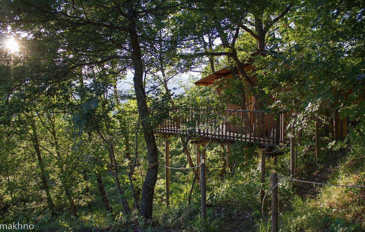 Cabane de la Bannette - Magnifique cabane dans les arbres, vue panoramique in Thoard, Alpes-de-Haute-Provence