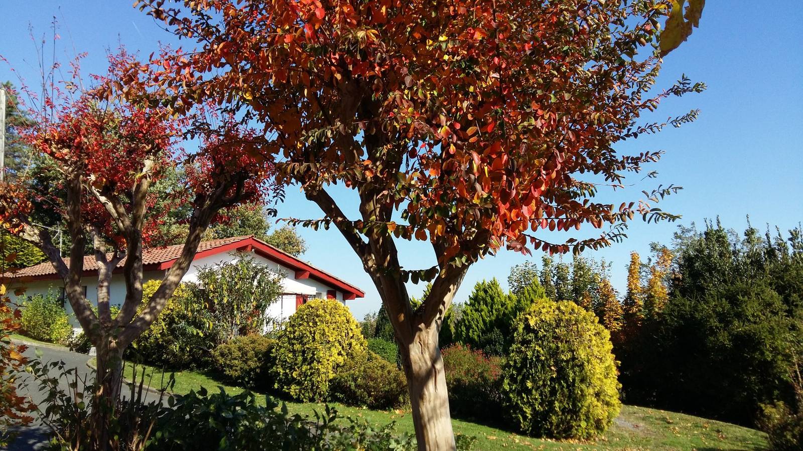 Location individuelle Hasparren in Hasparren, Région de Bayonne