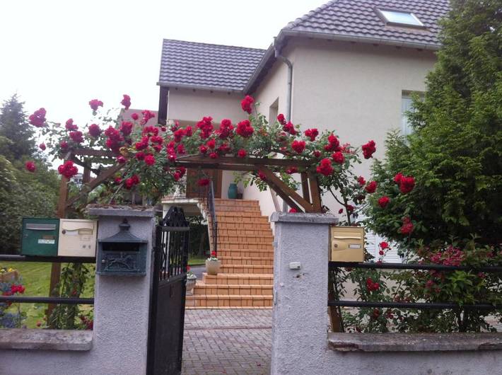 Gîte pour 3 personnes, avec Terrasse ainsi que Jardin et Vue à Ostwald