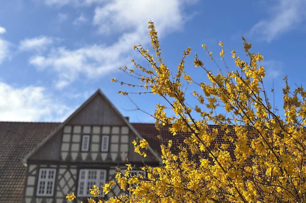 Unser Erlenhof - Gästebereich im schönen Artland in Menslage, Hasetal