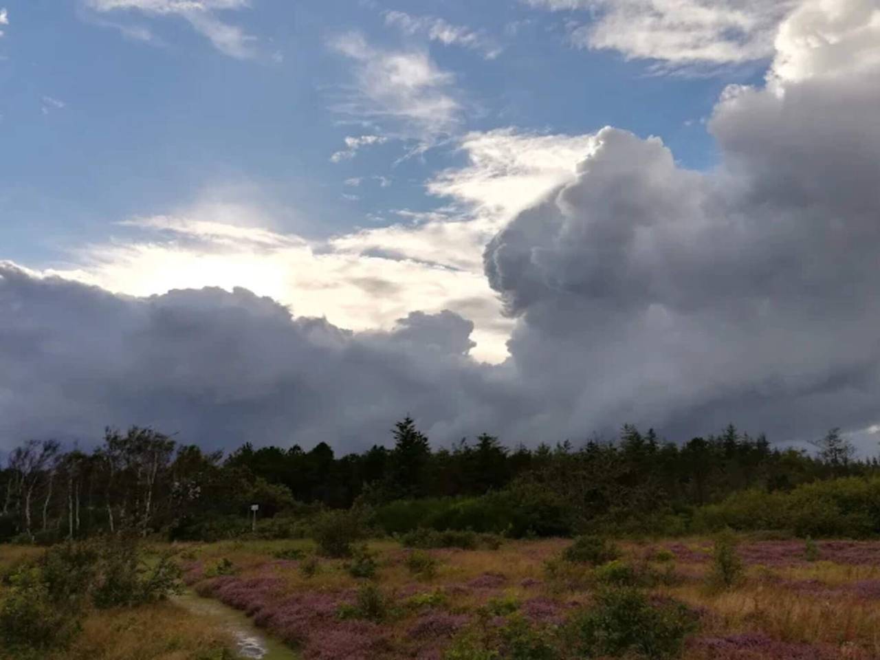 5 Personen Ferienhaus in Ålbæk-By Traum in Skiveren, Tannisbucht