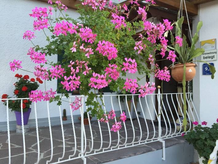 Ferienhaus für 2 Personen, mit Garten bei Neuschwanstein - 4