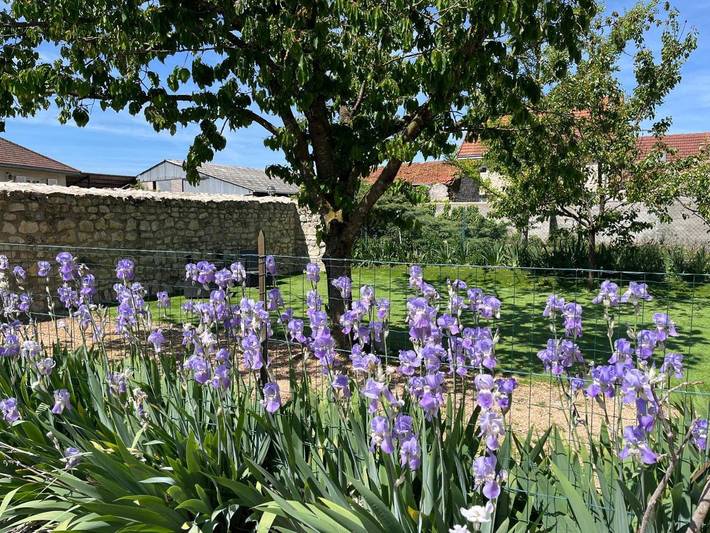 Location de vacances pour 8 personnes, avec Terrasse et Jardin dans Ébreuil - 3