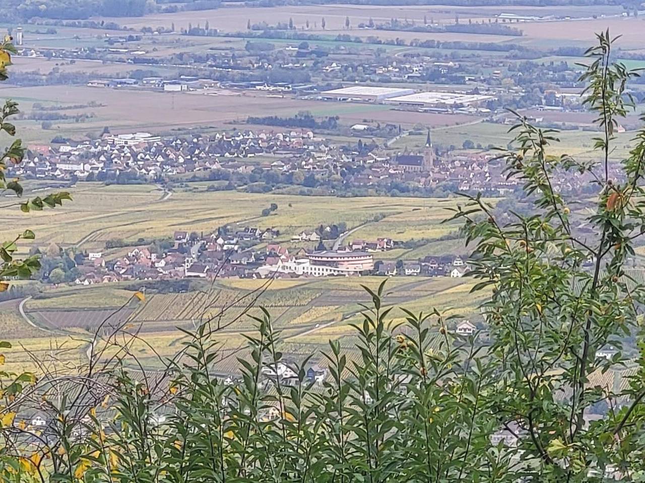 Holiday Home 'Sur La Route Du Vin' with Balconies and Wi-Fi in Rorschwihr, Parc naturel régional des Ballons des Vosges