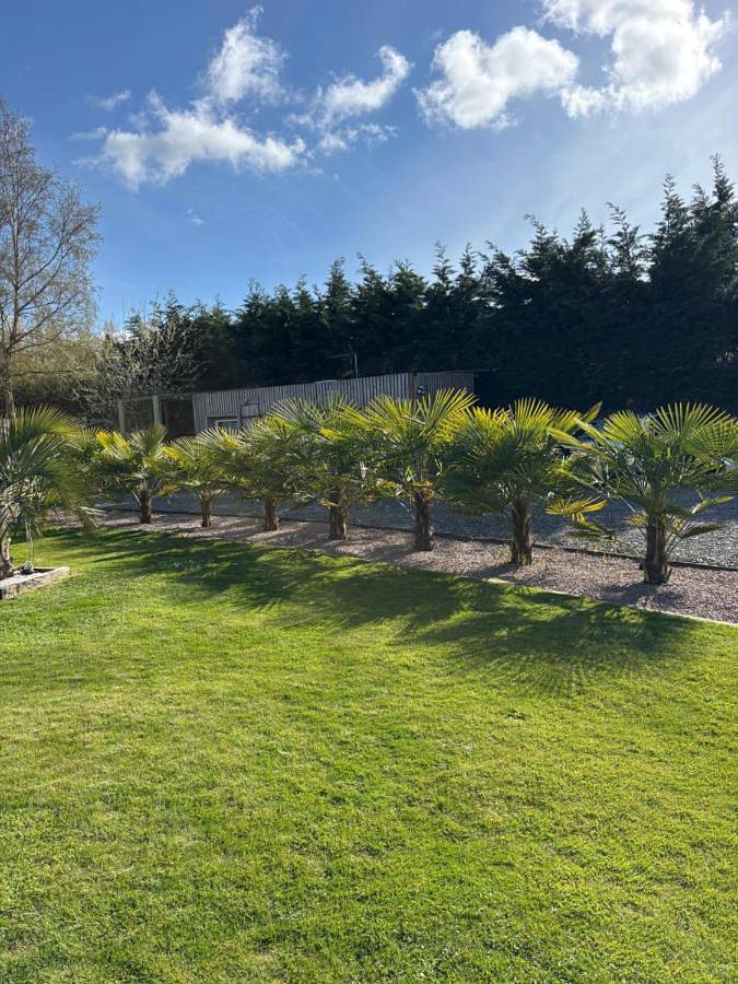 Gîte pour 2 personnes, avec Terrasse et Jardin ainsi que Piscine et Vue à Pleslin-Trigavou