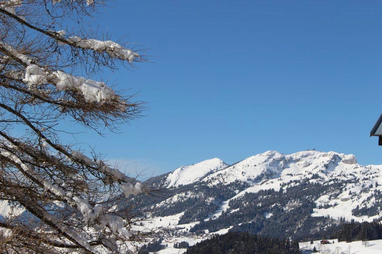 Ganze Wohnung, Apartment with Mountain View in Leysin, Alpes Vaudoises