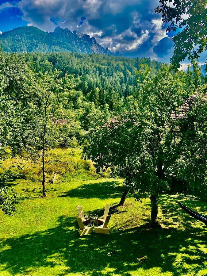 Ferienwohnung für 2 Personen, mit Ausblick und Garten, mit Haustier - 1