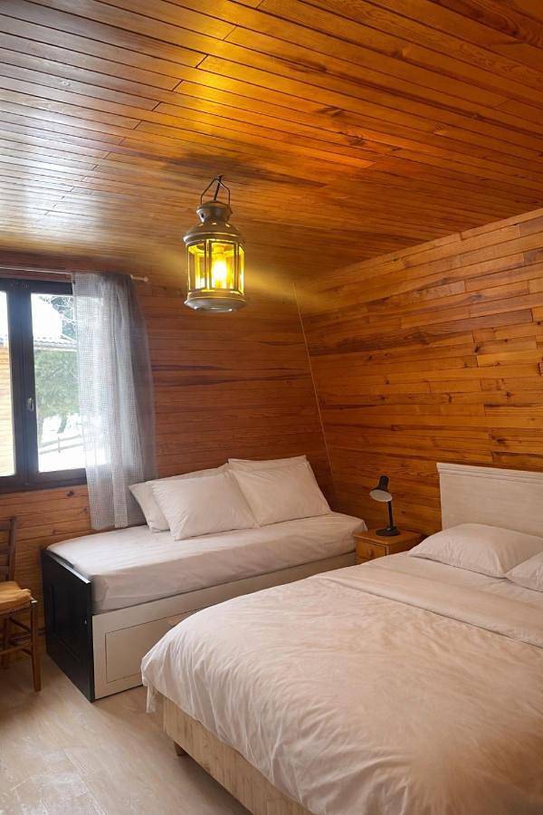 Gîte pour 8 personnes, avec jardin, animaux acceptés à Eyne - 4