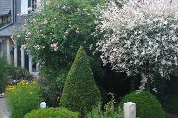 Chambre D’hôte pour 2 Personnes dans Saint-Sylvestre-de-Cormeilles, Région de Bernay, Photo 4