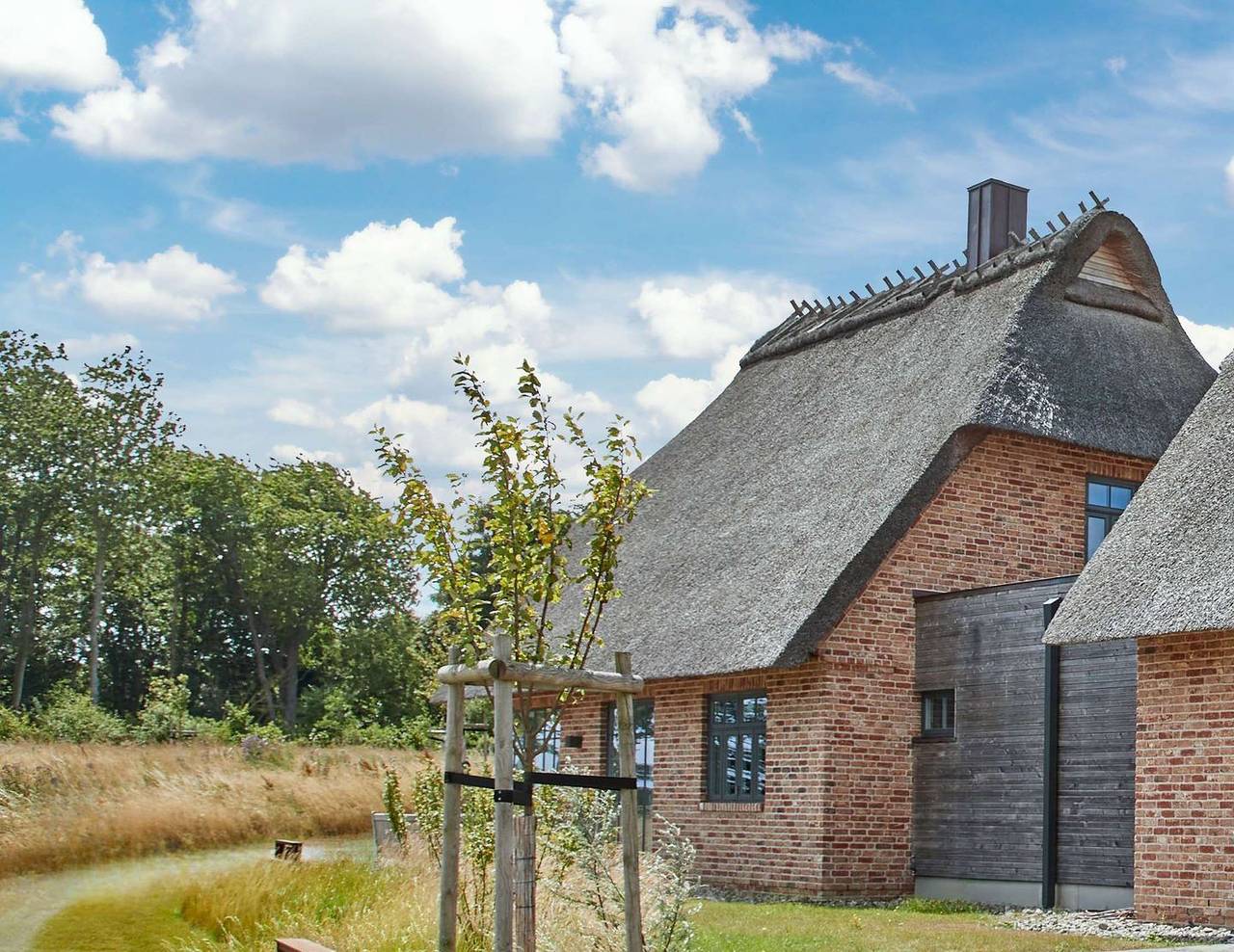 Malerhaus Leuchtturm, das Reetdach Doppelhaus für 4-5 Personen & schönem Wildwiesenblick. in Geltinger Birk, Nieby