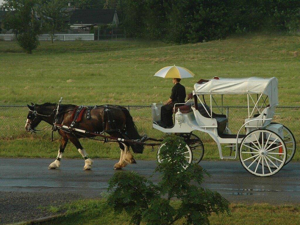 The White House Vacation Rental in Niagara-on-the-Lake, Niagara Fälle