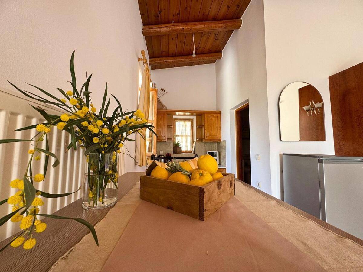 Stone Heaven Apartment-Poolside Bbq & Fresh Herbs in Nikithianos, Lasithi