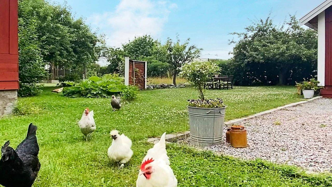 Ferienhaus für 4 Personen (40 m²) in Stenhamra in Stenhamra, Mälaren