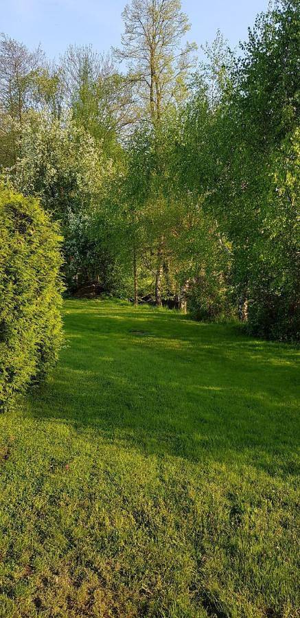Ferienhaus für 6 Personen, mit Terrasse und Garten sowie Pool in Löbau - 4
