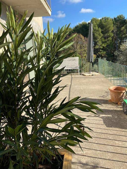 Gîte pour 4 personnes, avec terrasse et vue, animaux acceptés à Mimet - 2