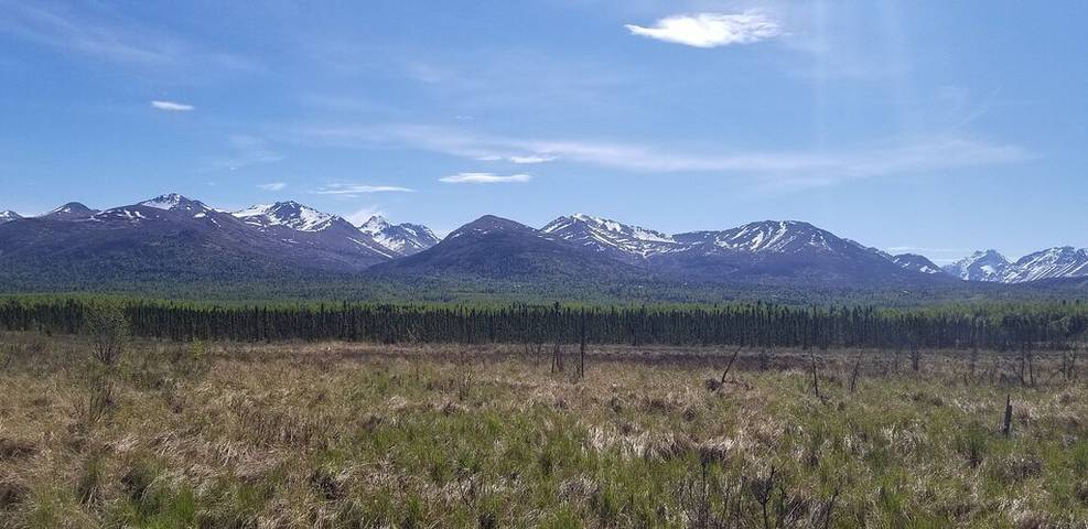 Chalet pour 6 personnes, avec jardin et terrasse dans Alaska - 2