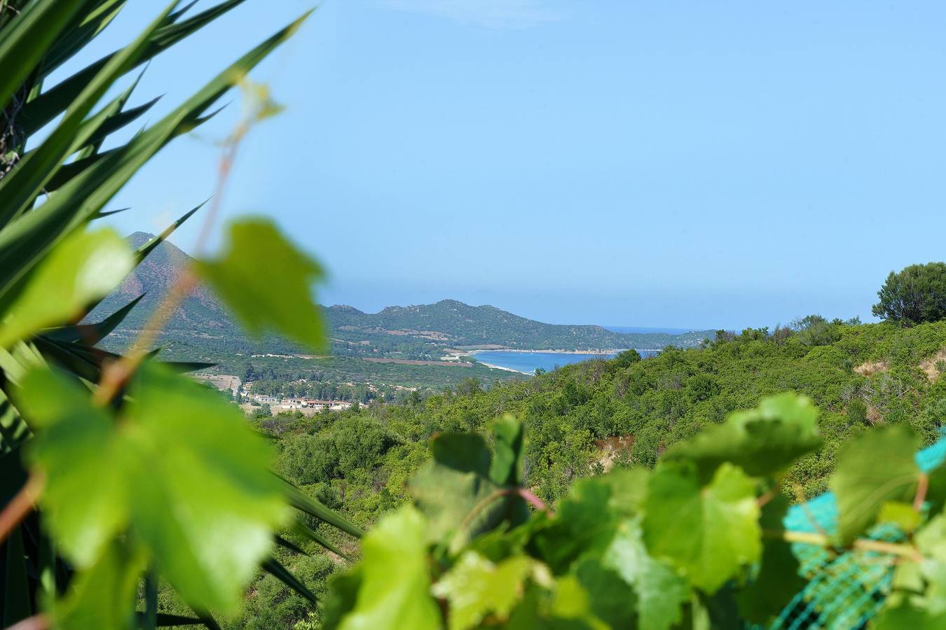 Raffinierte Villa an der Costa Rei mit Panoramablick in Costa Rei, Muravera