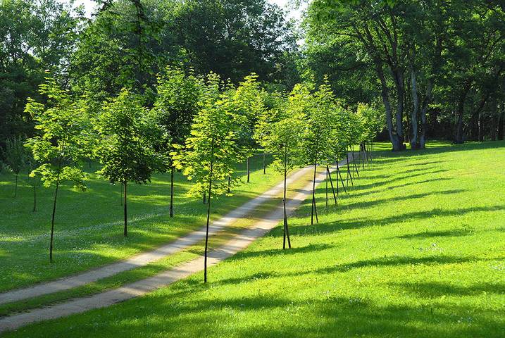 Location de vacances pour 2 personnes, avec piscine et jardin à Domme - 3