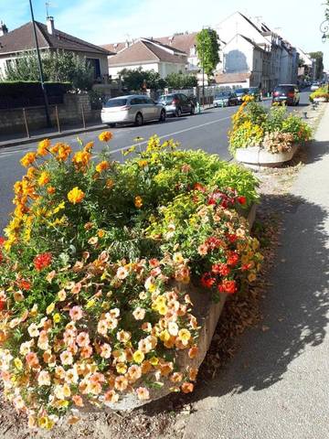 Gîte pour 4 personnes, avec jardin à Champs-sur-Marne
