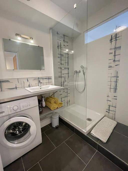 Gîte pour 2 personnes, avec terrasse à Ambilly - 3