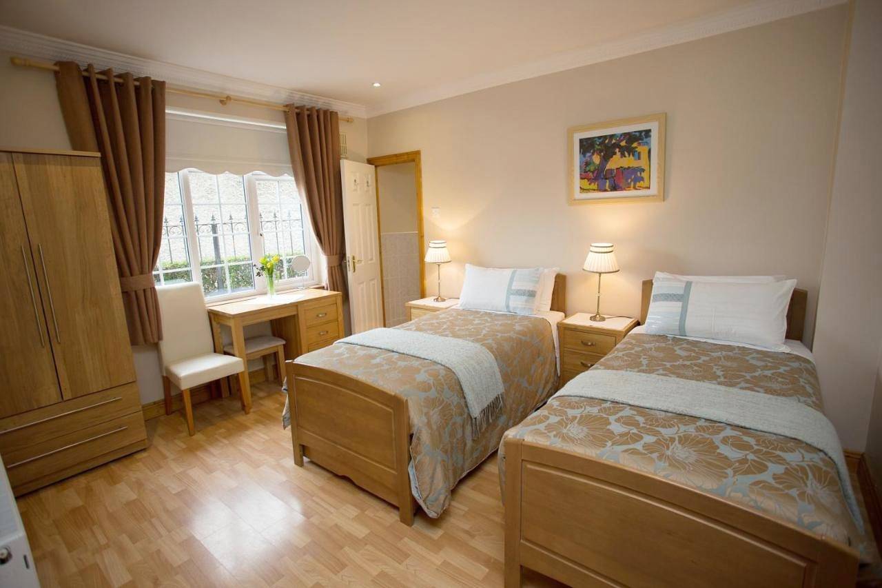 Almanii in Dublin, Comté de Dublin