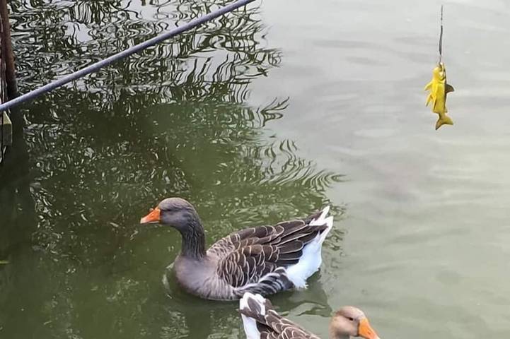 Agriturismo für 4 Personen